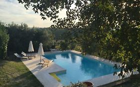 Località Poggio Capriolo Il Casale dei Ciliegi