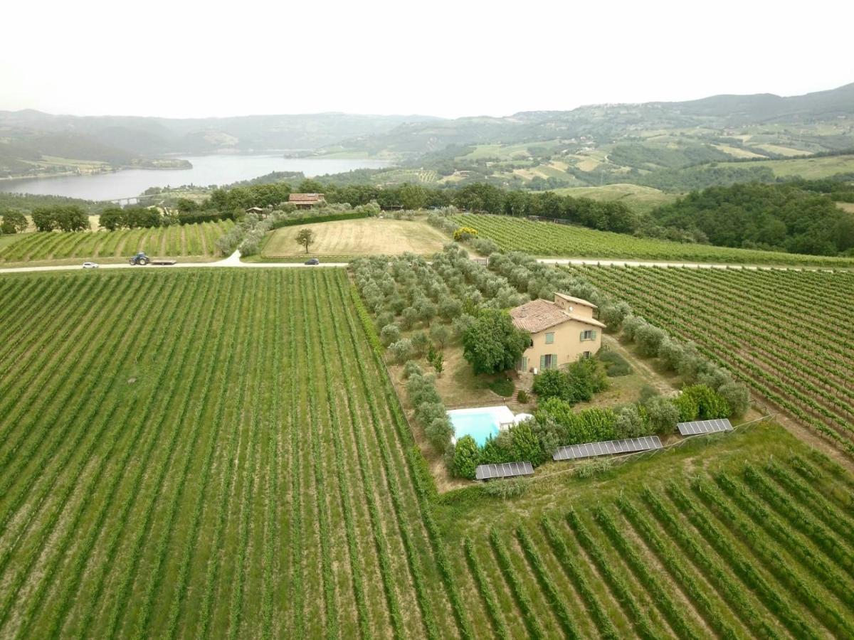 Località Poggio Capriolo Il Casale dei Ciliegi Villa Baschi Esterno foto