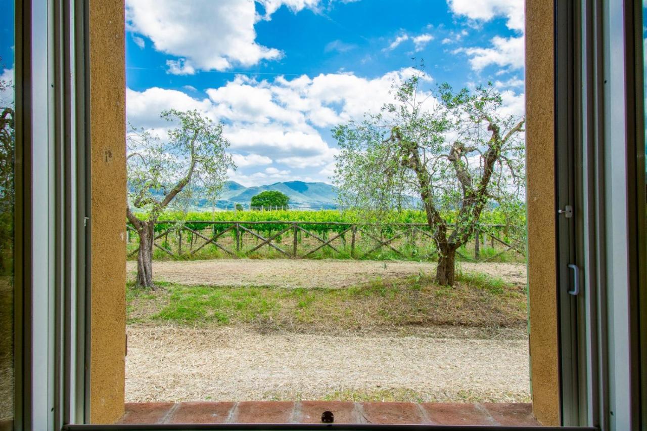 Località Poggio Capriolo Il Casale dei Ciliegi Villa Baschi Esterno foto